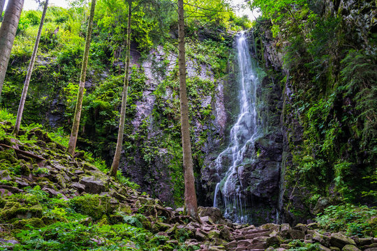 Germany, Magic black forest waterfall in untouched nature landscape called burgbachwasserfall in green paradise like scenery