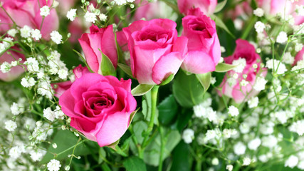 Pink roses and gypsophila bouquet