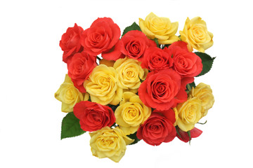 Obraz premium Roses posy isolated closeup