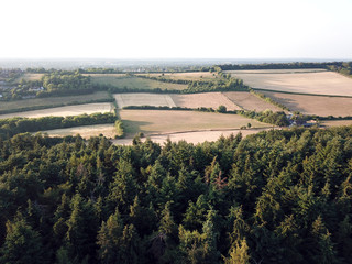 Aerial view of woodland countryside