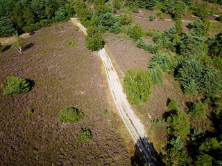 Aerial view of a path in heath land and heather 