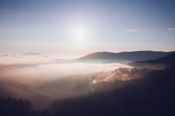 Obraz premium Impressive image of hills with coniferous trees in the morning light.