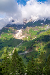 Green meadows, high firs and snow-covered mountains in clouds, Austria