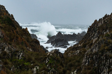 Sarah Anne Rocks on the Tarkine Coast of Tasmania