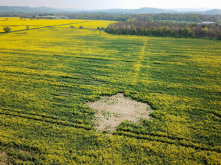 Aerial view of a farm field growing oil seed rape