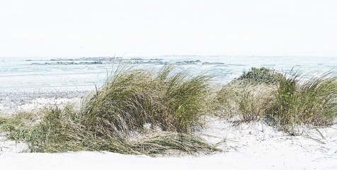 Close up of sand dunes with dune grass