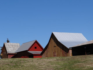 Fototapeta na wymiar old barn and blue sky