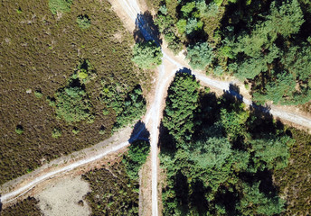 Aerial view looking down over trees and bushes in heath land