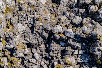 Stone texture. Stone covered with green moss. Gray rough background