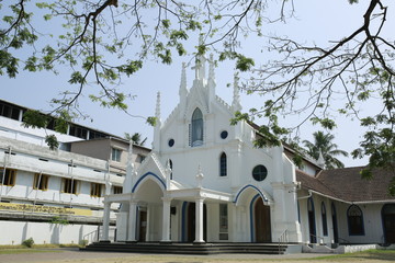 church, bulding,flower, sky, architecure, lighting picture, food picture, any catagery picture
