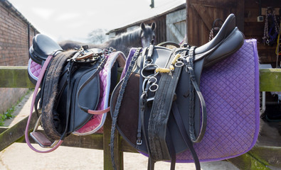 All tack ready to ride, tack waiting to be put onto the horses.