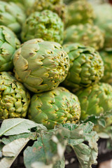 Fototapeta premium Fresh artichokes on market counter