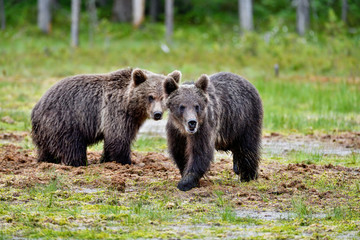 Dynamic duo is on the move.