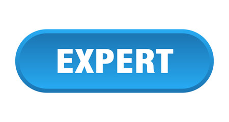 expert button. expert rounded blue sign. expert
