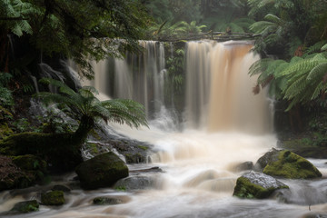 Horseshoe Falls, Mount Field National Park, Tasmania