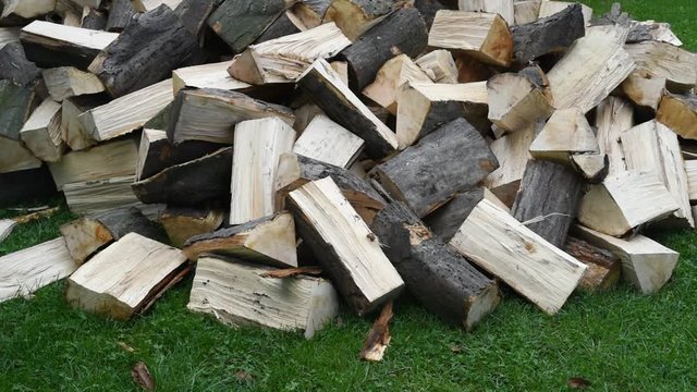 Quartered hornbeam firewood stack on green grass