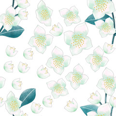 Jasmine flower seamless pattern