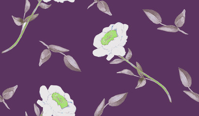 Fototapeta premium Peony white flowers and leaves, hand painted watercolor illustration, seamless pattern design on dark purple background