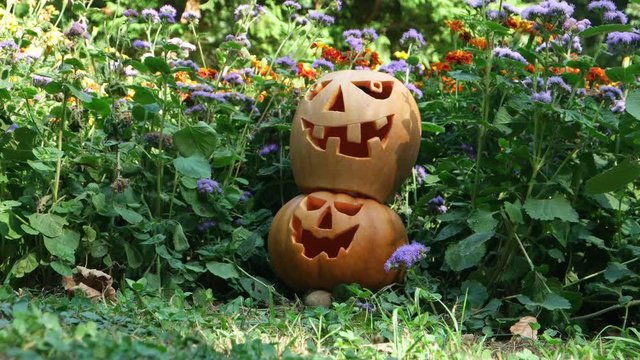 Two halloween pumpkin lanterns standing one on top of the other on the green grass against a background of flowers