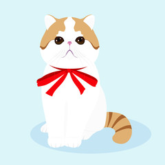 Cute cat with a red bow, the cat is sitting, an exotic breed of cat. Pets. Flat design. Vector illustration. EPS10