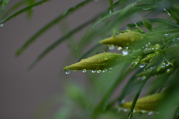 Beauty in the Nature