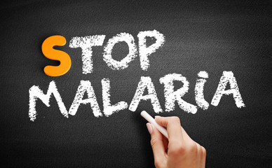 Stop Malaria text on blackboard, health concept background