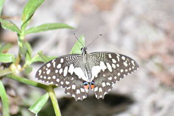 Beauty in the Nature