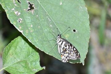 Beauty in the Nature