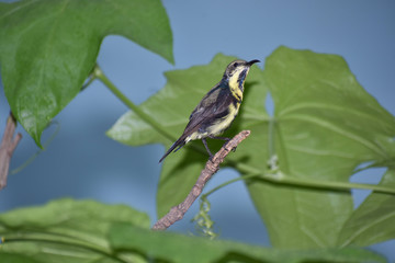 Beauty in the Nature