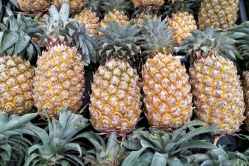 A pile of tropical pineapple fruit in a big tray and selling at the food market