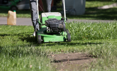 green lawn mower on a green lawn