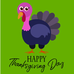  Turkey bird, flat, vector illustration