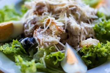Salad of chicken, bread, lettuce, eggs, olives, parmesiano, mayonnaise and olive oil
