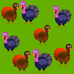  Turkey bird, flat, vector illustration