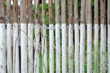 Close up old wood fence with white color painted and green nature background