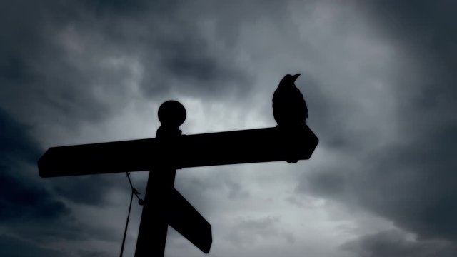 The dark, ominous silhouette of a black raven standing over a pole with street directions, against a cloudy sky. Horror Halloween scary clip.