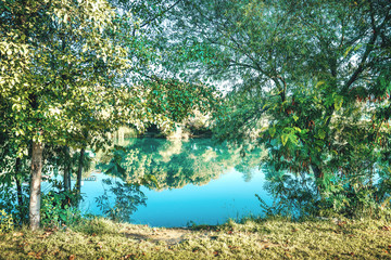 Beautiful lake landscape with green trees and grass