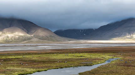 Adventdalen Summer landscape in Svalbard 