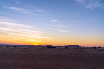Fototapeta na wymiar Dead valley in Namibia at summer