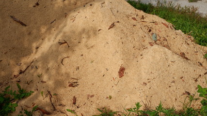 sand for construction