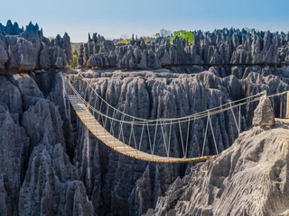 Foto auf Glas Impressive hanging bridge over the canyon at Tsingy de Bemaraha National Park, Madagascar © SimoneGilioli