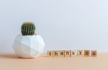 set of various cactus plants in pots. Cactus plant in different pot and view on  table during gardening nursery cactus with space for you brand or logo