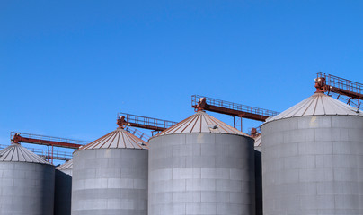 Obraz premium metal silo of corn, wheat and sunflowers with blue sky.