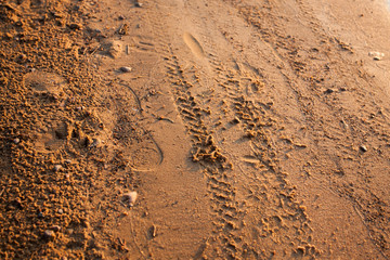 Tire marks in the sand. Background with macro footprints on the yellow sand of a beach