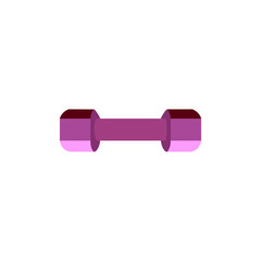 Dumbbell isolated on a white background. Dumbbell vector icon.