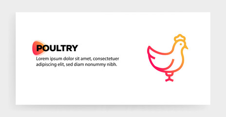 Fototapeta premium POULTRY ICON CONCEPT