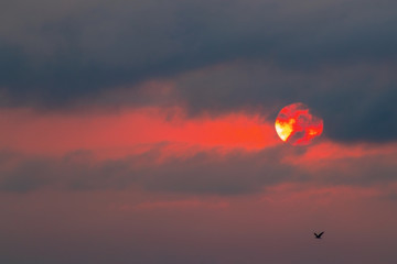 Dramatic Sky background on sunset. Nature composition. Africa, Namibia