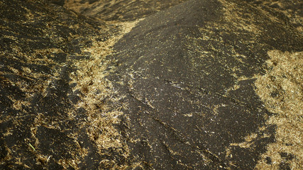 Warehouse pile rapeseed or rape store, oilseed rape black and other cereals and grain heap mound, stock with moisture protection seal, technological freshly, Brassica napus canola oil