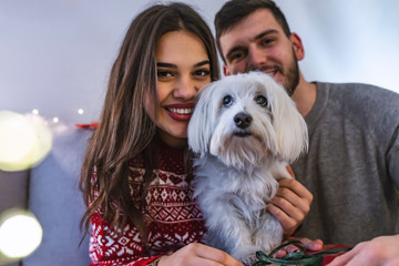Cheerful young couple petting cute dog on christmas at home.