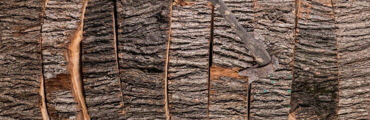 Freshly Sawn logs.Wooden tree bark cut chopped